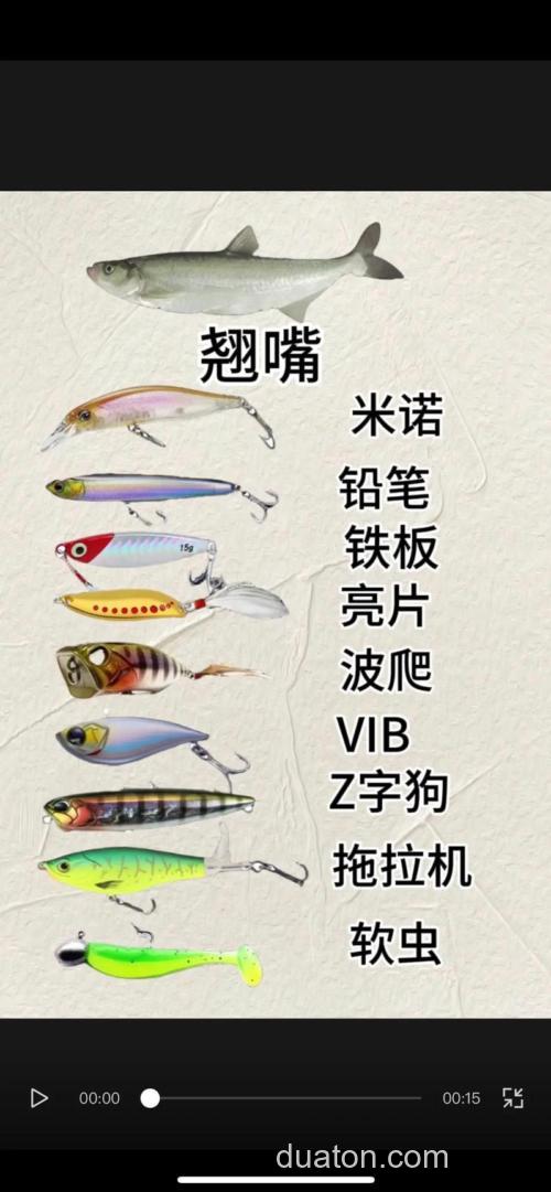 是不钓鱼,用什么饵?