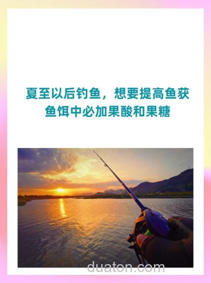 想要提高鱼获,鱼饵中必加果酸和果糖