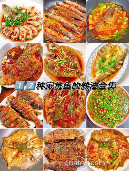 怎么做鱼最好吃