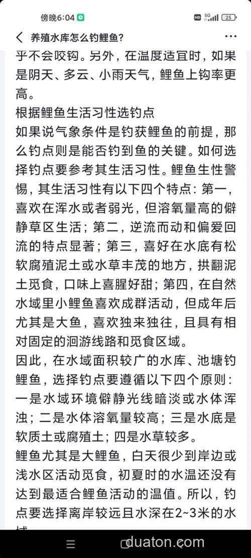 怎样在大水库钓鲤鱼?
