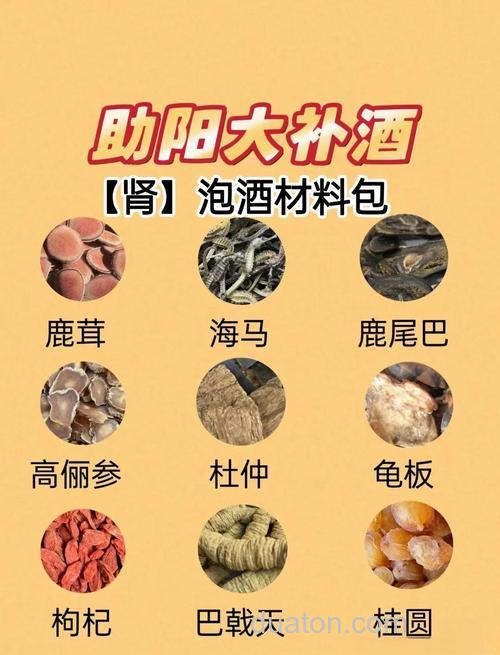 请教各位大家关于药酒的配置