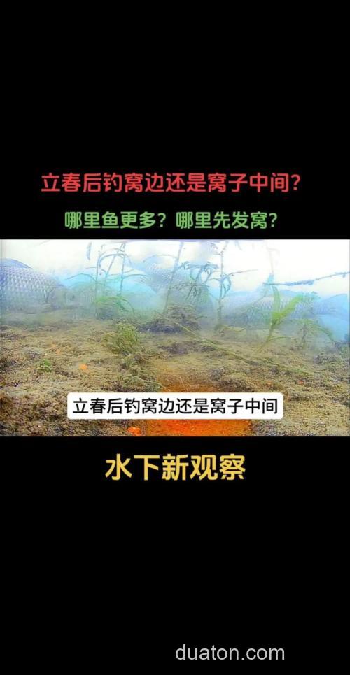 钓窝子正中还是前后？