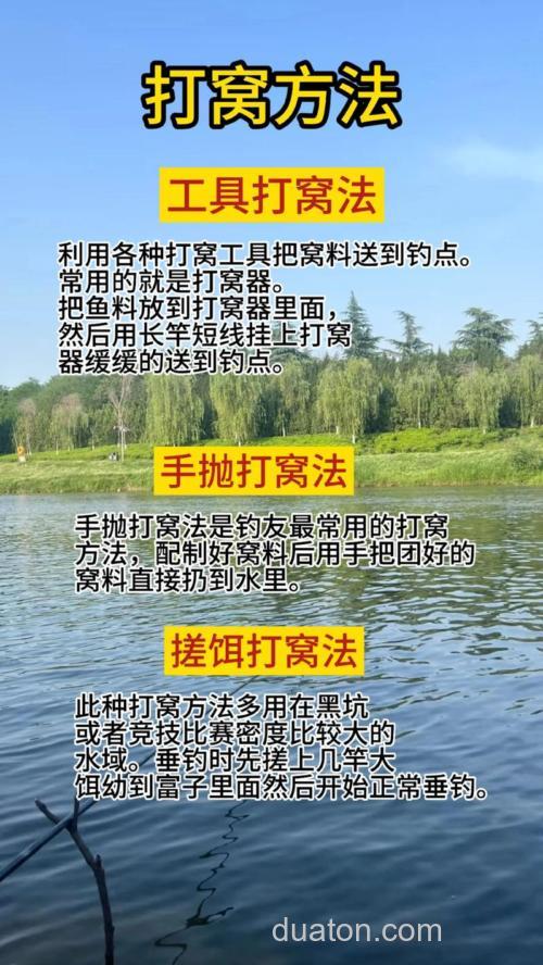 掌握技巧提升台钓打窝技巧 打窝关键环节,掌握技巧提升效率