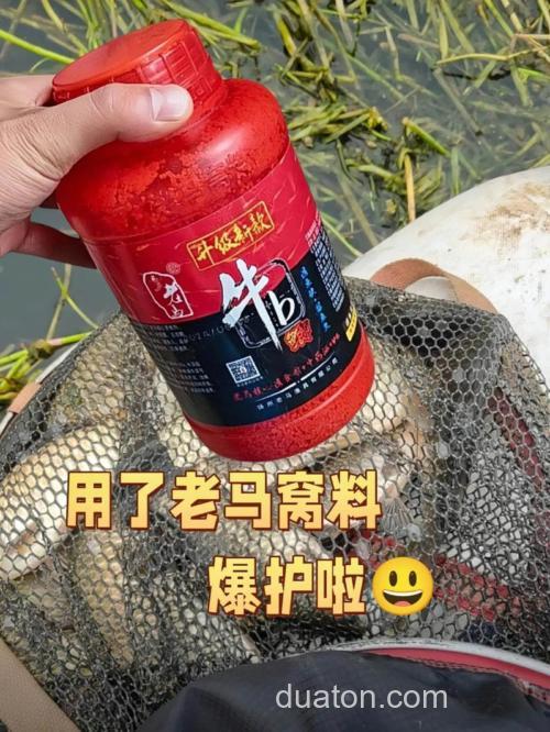 钓野生鲤鱼用什么打窝 钓鲤鱼鱼食