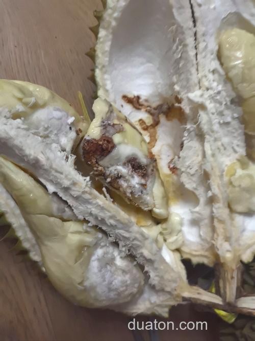榴莲上有好多黑褐色的类似蟑螂的虫子是什么?怎么消灭?