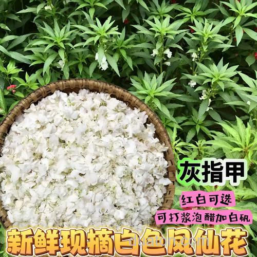 凤仙花怎制作成药酒