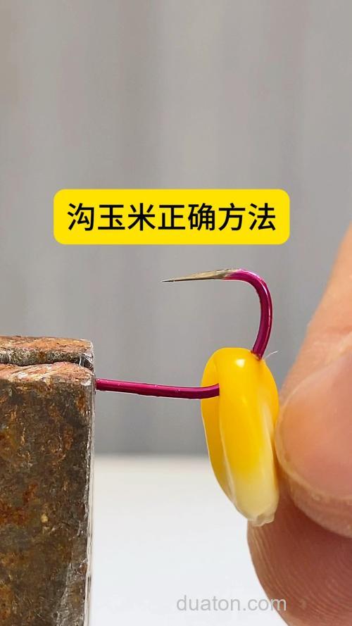 夜钓挂玉米好还是颗粒饵料好?
