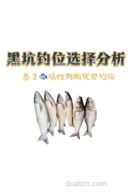 台钓黑坑抛竿技巧与钓位选择,提升中鱼率