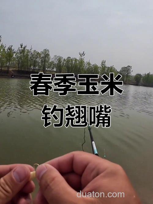 春季玉米钓翘嘴方法？