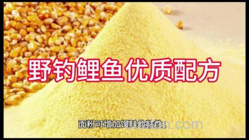 玉米粉饵料秘方?