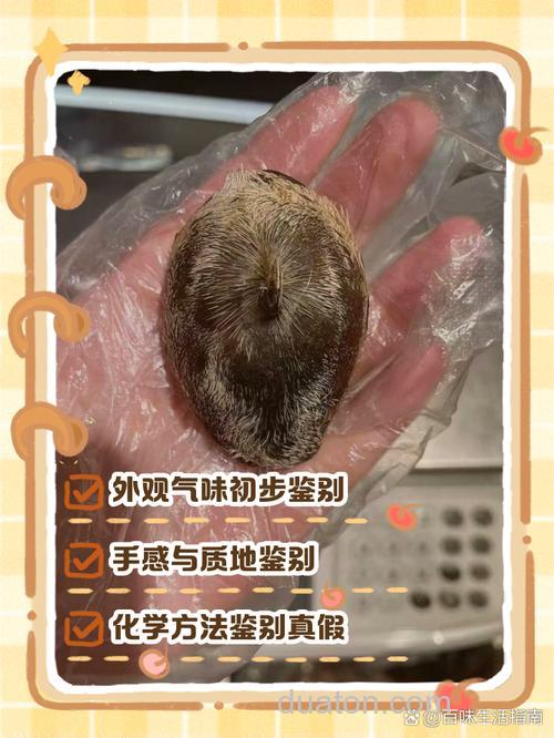 夏季用酵香好还是麝香好?