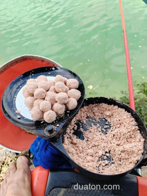 苞谷鲢鱼饵,钓鲢鱼用什么饵最合适