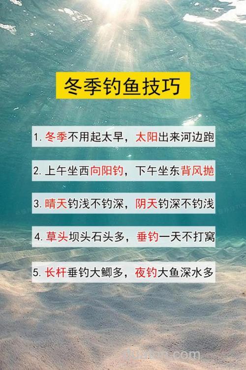 冬季台竿冰钓技巧全解析,钓点选择与安全保障缺一不可