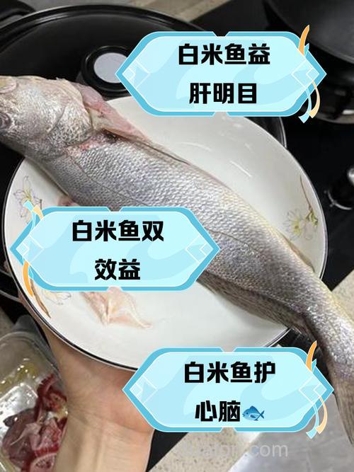 大米什么鱼喜欢吃?