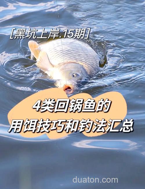 黑坑用饵的诀窍