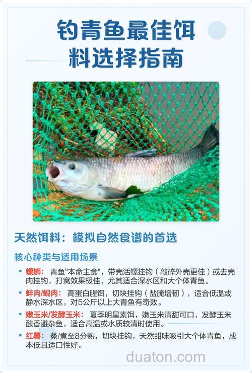 钓青鱼的钓位选择和饵料搭配