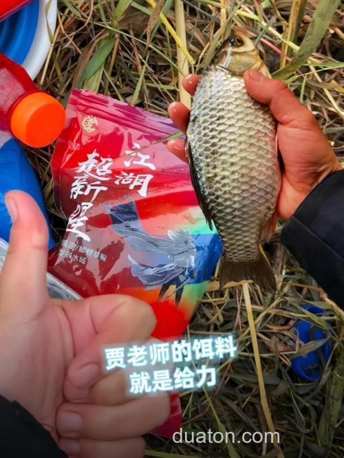 钓鲤鱼疯钓鲤+大鲤麝香+粒粒腥 效果怎么样