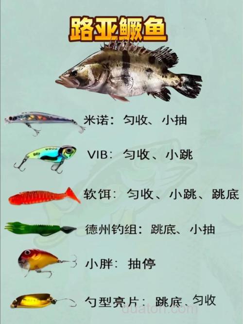 鳜鱼流水什么饵最好?