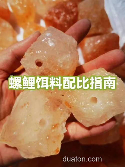 螺鲤2号经典搭配海竿?