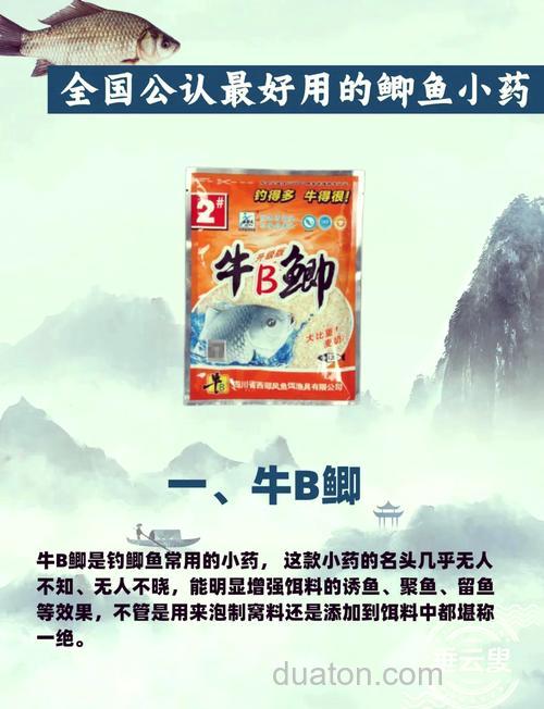 什么小药钓鲤鱼效果最好