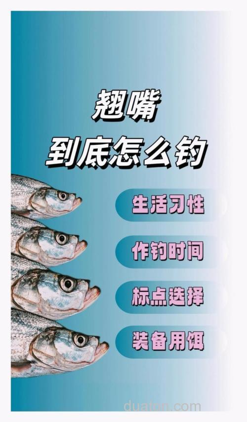 全能腥饵料钓翘嘴怎么配?
