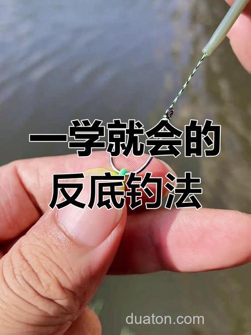 鲤鱼反底钓法?