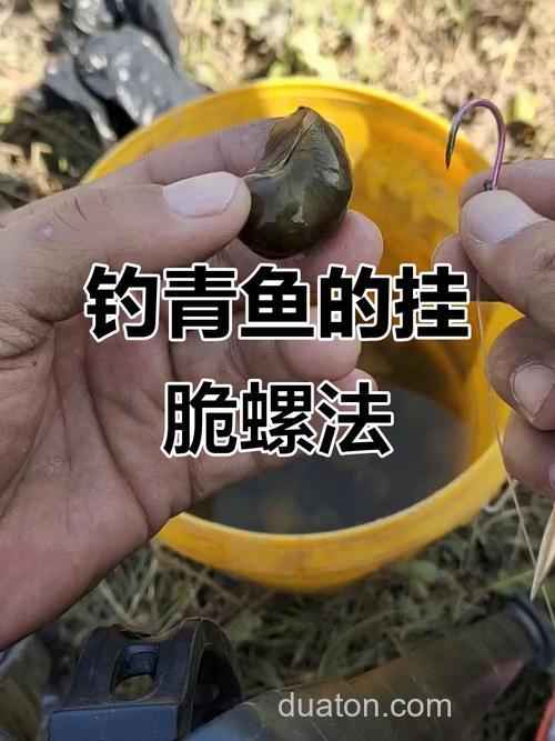 如何用螺丝饵料钓到青鱼（上）