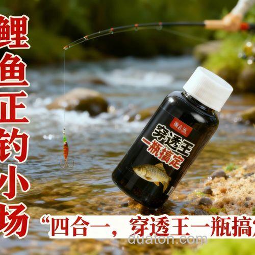 黑坑特效小药 钓鲤鱼聚鱼效果好的钓鱼小药?