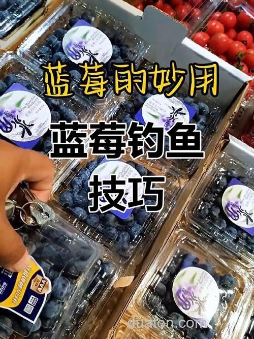 蓝莓钓鱼效果怎么样?