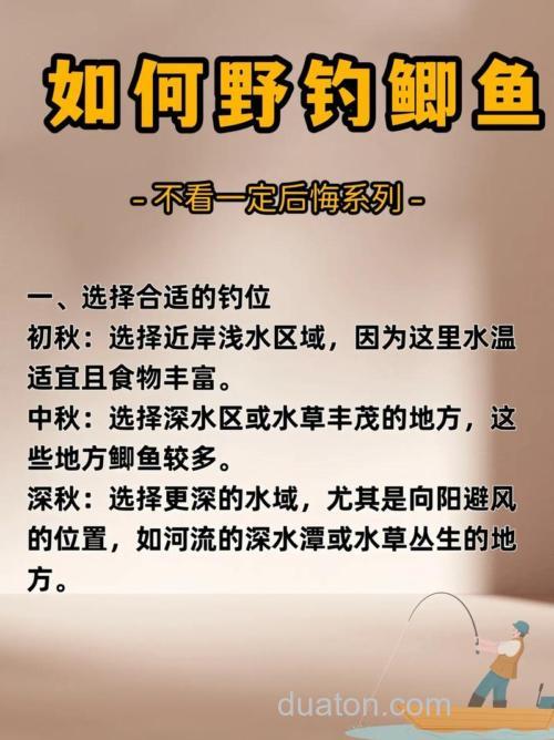 新手爆护秘诀黑坑钓鱼怎样才能爆护?