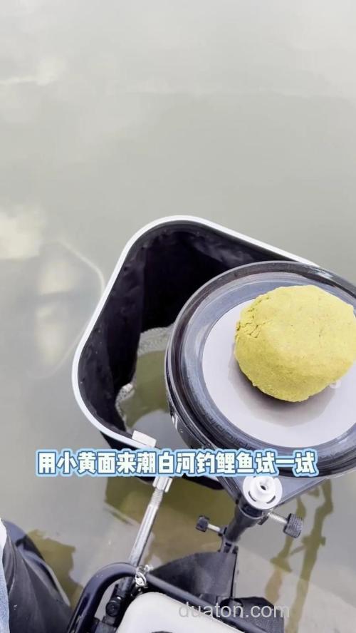 小黄面钓鲤鱼怎样搭配才能发挥作用?