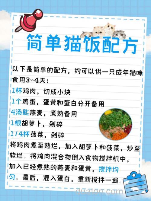 怎样自制猫粮?