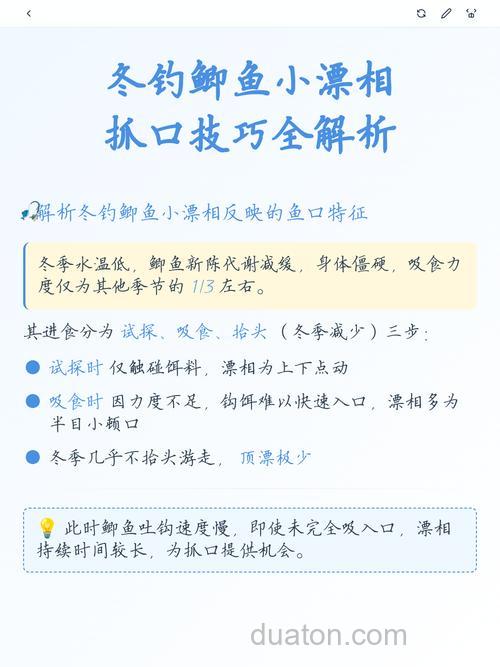 寒冬垂钓鲫鱼的吃食特征和漂相分析
