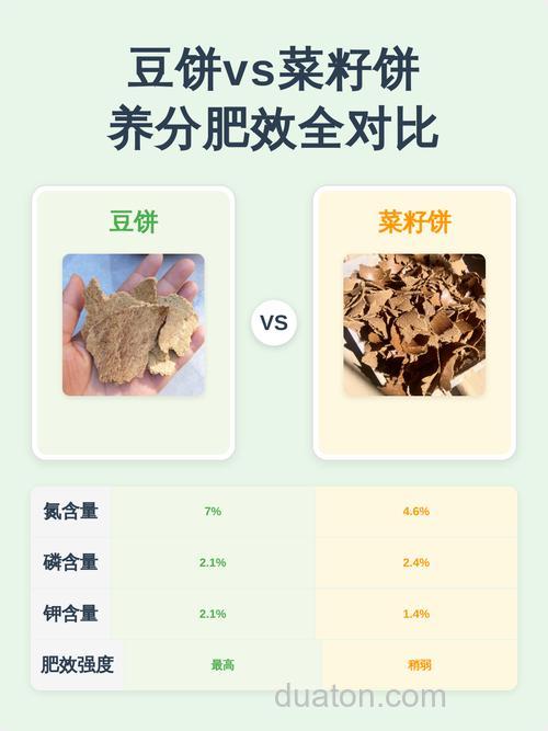 豆饼肥和菜籽饼肥有什么区别?