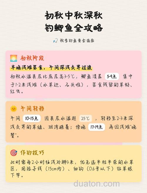 初秋如何钓鲫鱼