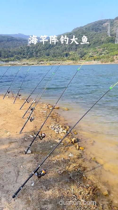 早春水库湖泊钓鲫鱼适宜用短海竿
