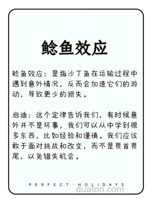 鲶鱼的故事?