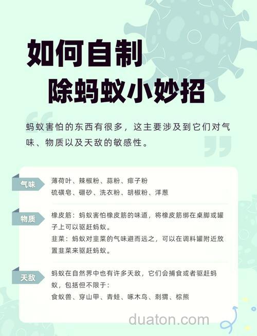 蚂蚁诱饵的作用?
