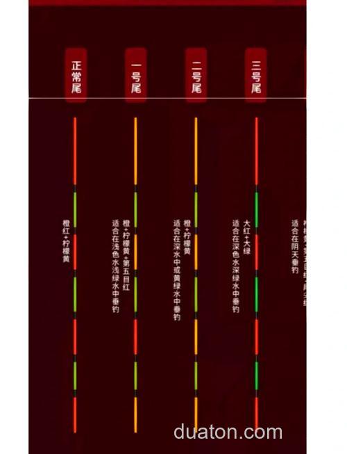 钓鲫鱼的注意要点及看漂注意事项