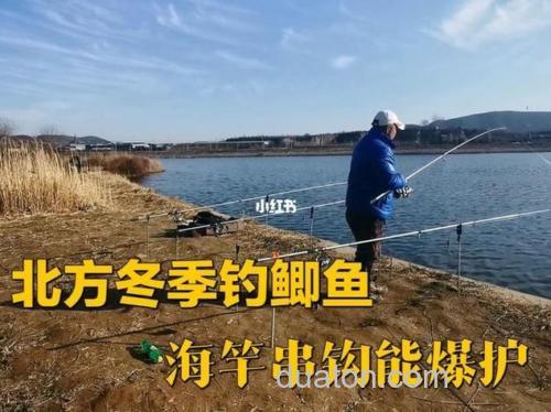 冬季北方海杆串钩钓鲫鱼决窍