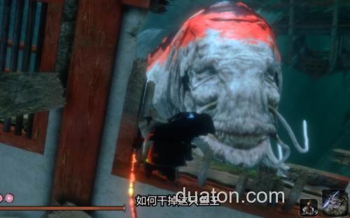 《只狼》支线攻略:源之宫·鲤鱼王介绍_《只狼》支线攻略:源之宫·鲤鱼王是什么