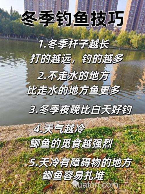晚上刚刚下雪了,第二天如何钓鲫鱼?