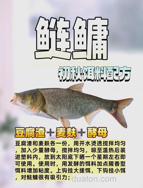 钓胖头鱼什么秘方最容易掉到啊