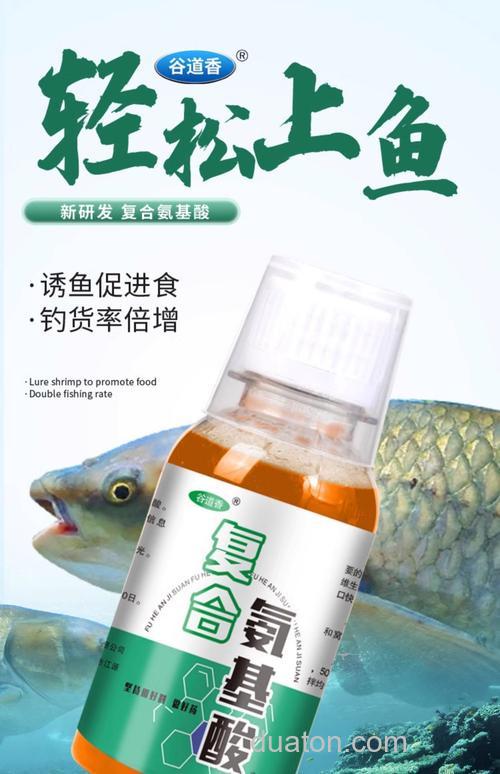 野钓鲫鱼用哪种小药好?