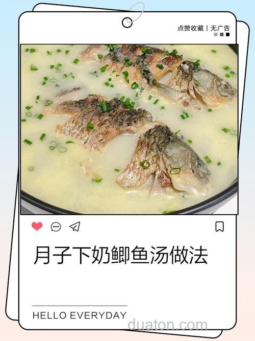 鲫鱼汤怎么做下奶最快?