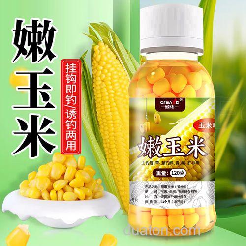 夏季钓鲫鱼用什么味型饵料,能用玉米吗