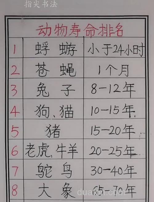 什么动物会活得久?