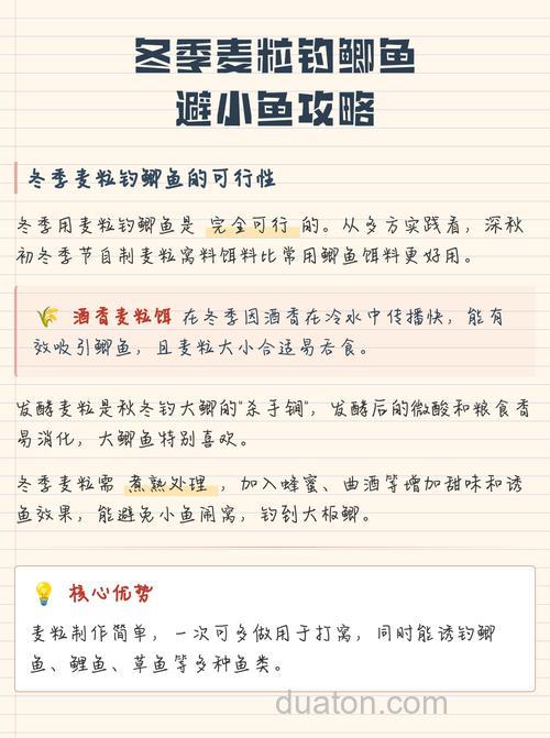 麦粒钓鲤鱼绝招?