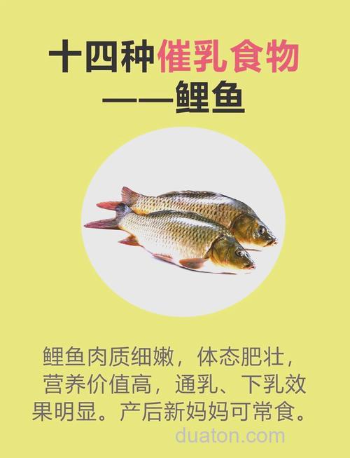 怎样吃鲤鱼营养价值高？