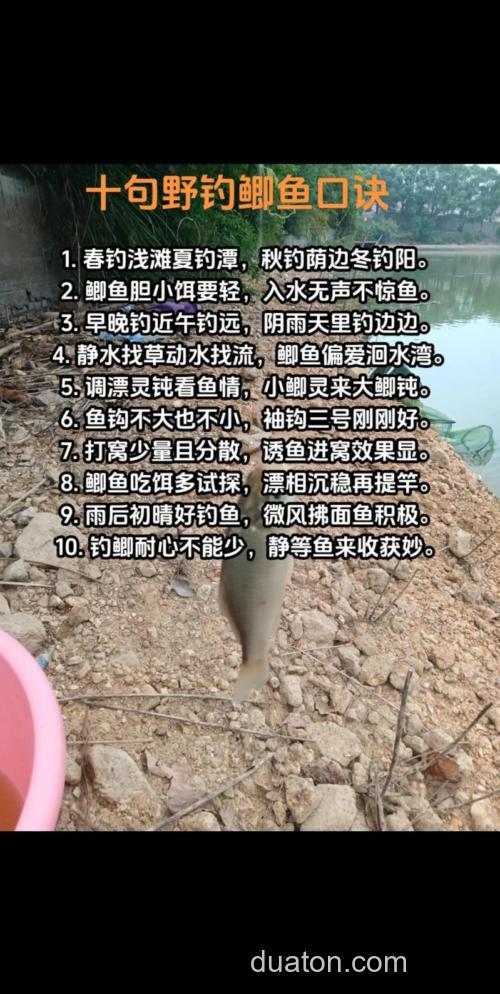 夏季野河草洞垂钓鲫鱼技巧